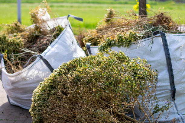 Best Professional Junk Removal  in Box Elder, SD